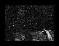 1890_9393
